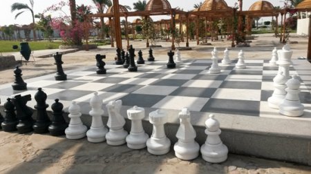 Владимир Кудрявцев о развивающих функциях шахмат в дошкольном образовании